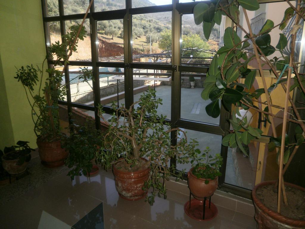 Hostal Restaurante Solaire Castanar de Ibor Ngoại thất bức ảnh